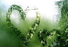 非洲杯赛比赛中一场惊险的点球大战